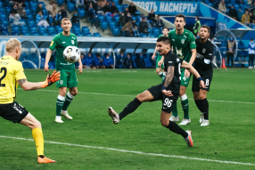 Ротор 1:3 Рубин