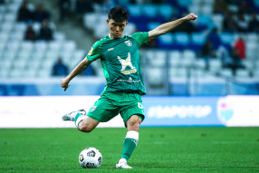 Ротор 1:3 Рубин