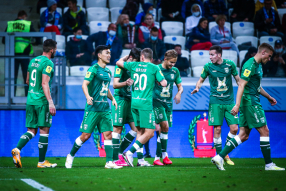 Ротор 1:3 Рубин