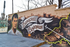 «Стадион им. Э.А. Стрельцова» (основное поле)