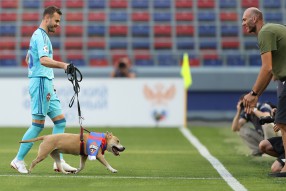 ПФК ЦСКА 3:0 Арсенал