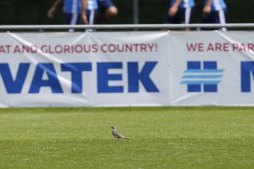 Тренировка сборной России 28.05.2016 Bad Ragaz
