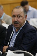 Конференция РФС