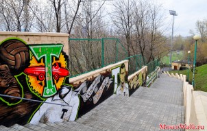 «Стадион им. Э.А. Стрельцова» (основное поле)